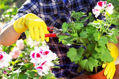 Gardener working on a Brimsdown lawn