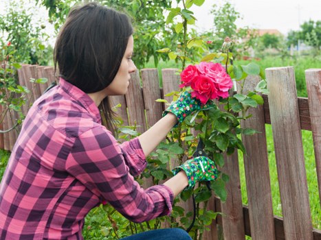 Staff member inspecting garden boundary in Brimsdown to ensure ethical practices