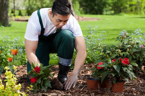 Cost-effective hedge trimming services