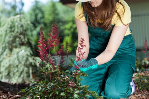Garden tools and irrigation system set up for efficient watering